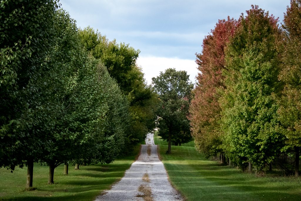 Scenic Fall Colors Drive