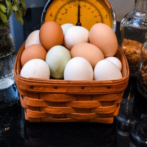 Eggs
