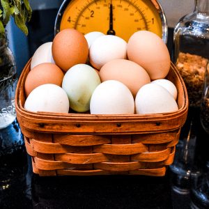Farm Fresh Eggs