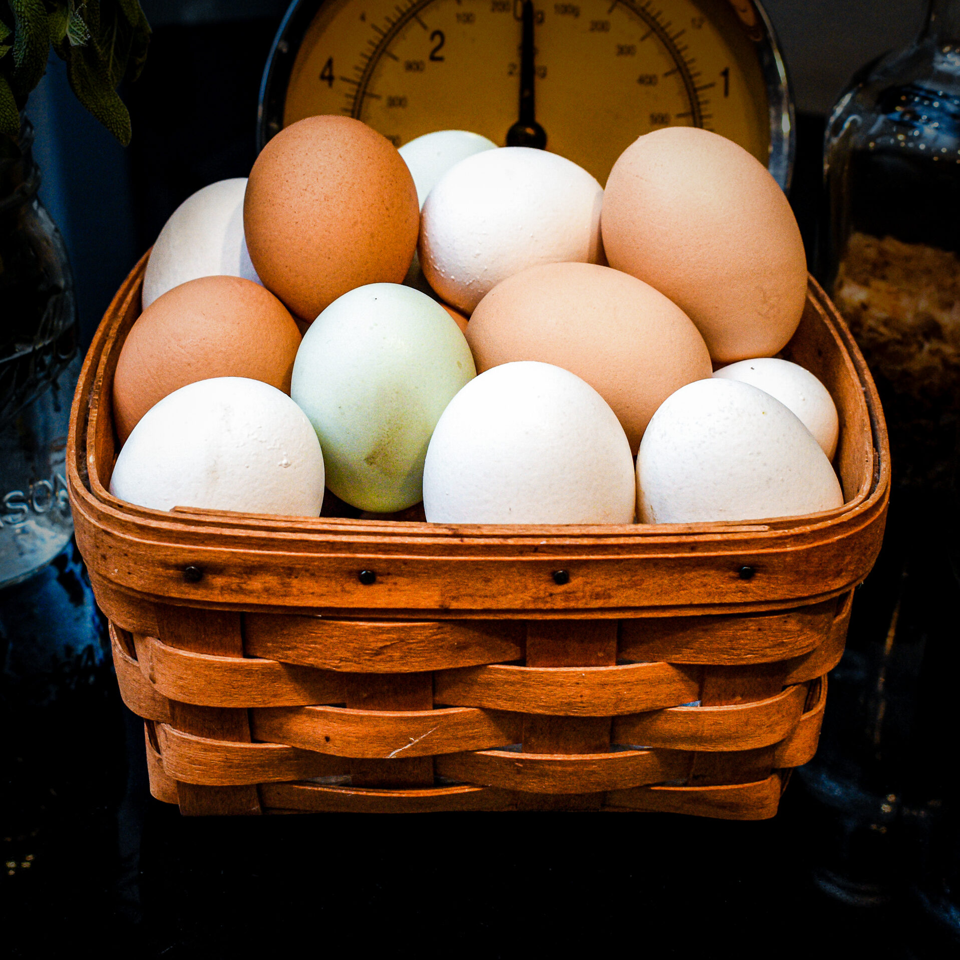 delicious nutrient rich farm fresh eggs, from Broken K Ranch